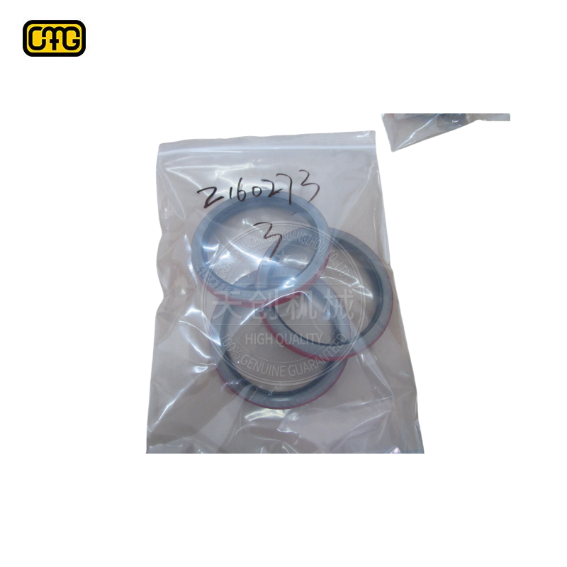 CYLINDER SEAL KIT 57780074 for original brand new